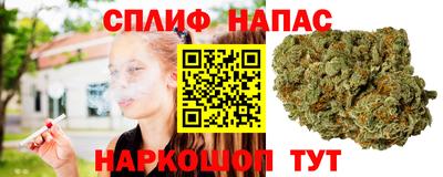 ECSTASY Будённовск